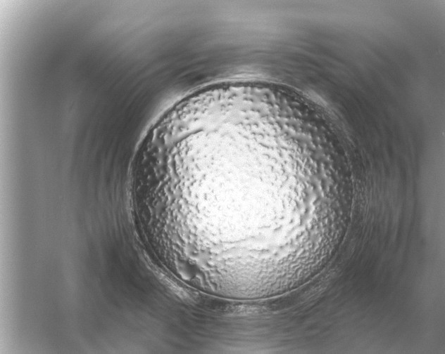 X0000058111374200510071902