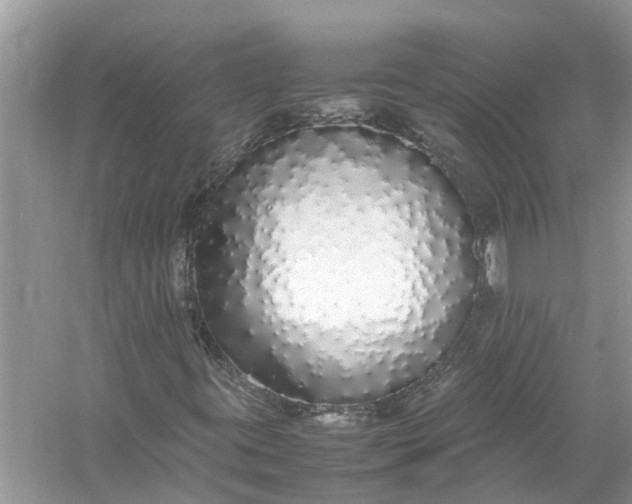 X0000058111395200510071901