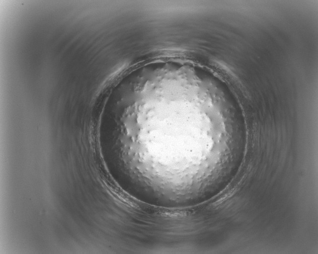 X0000058111403200510071901
