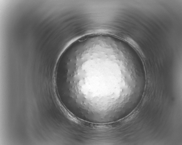 X0000058111436200510071901