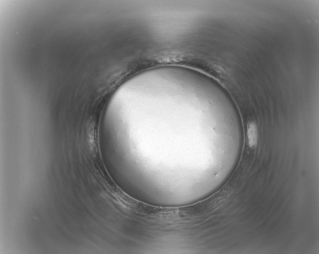 X0000058111444200510071901