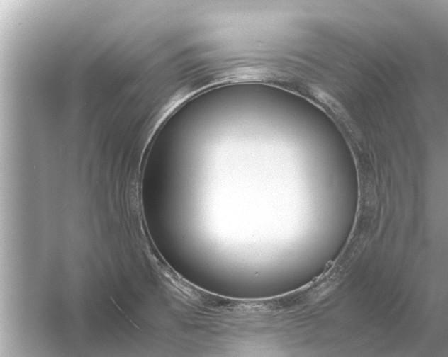 X0000058111473200510071900