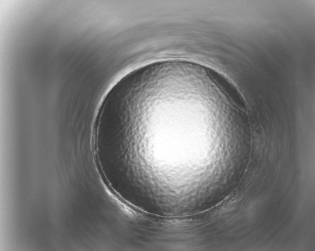 X0000058111527200510071900