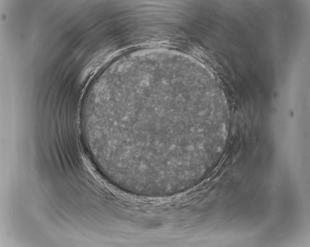 X0000058110002200510171256
