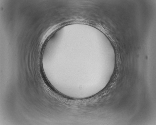 X0000058110007200510171256
