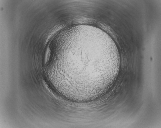 X0000058110010200510171256