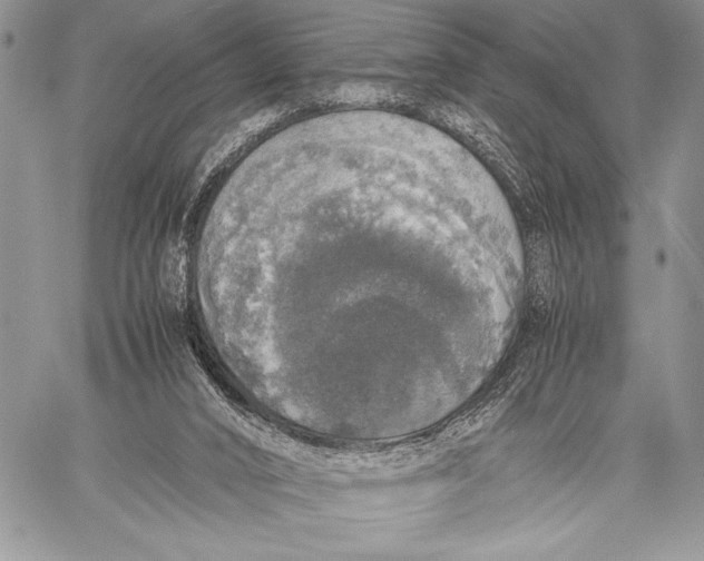 X0000058110016200510171256