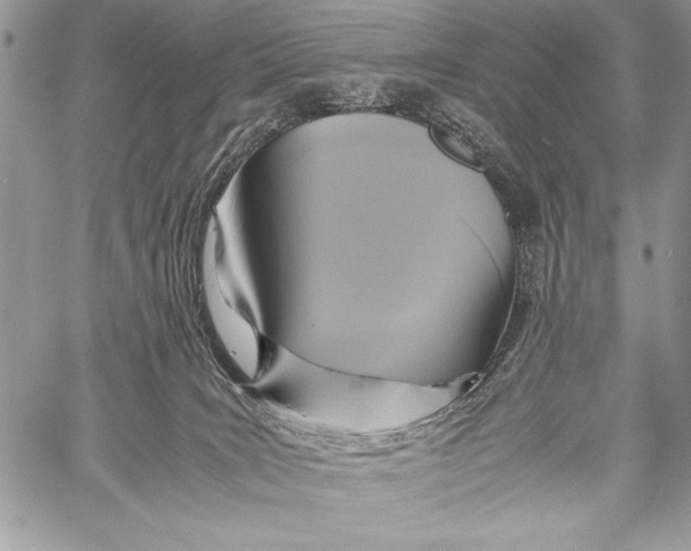 X0000058110035200510171256