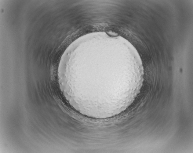 X0000058110038200510171256