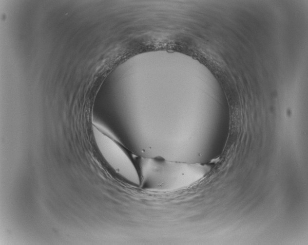X0000058110039200510171256