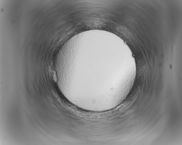 X0000058110040200510171256