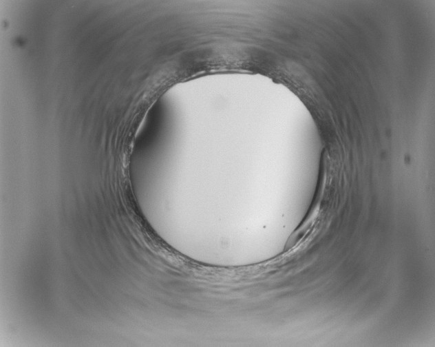 X0000058110045200510171256