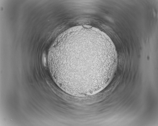 X0000058110046200510171256