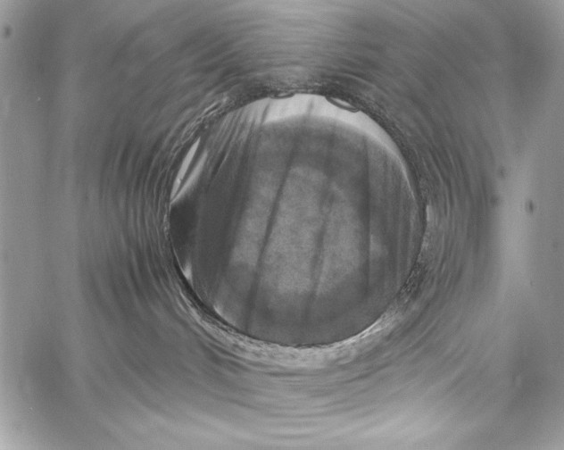 X0000058110048200510171255
