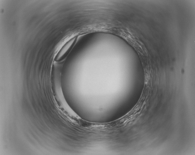 X0000058110052200510171255