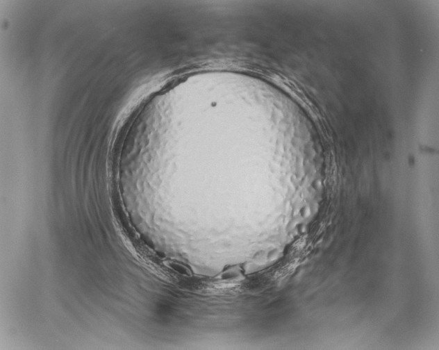 X0000058110055200510171255