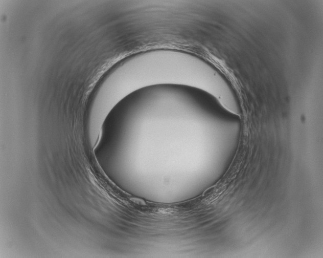 X0000058110060200510171255