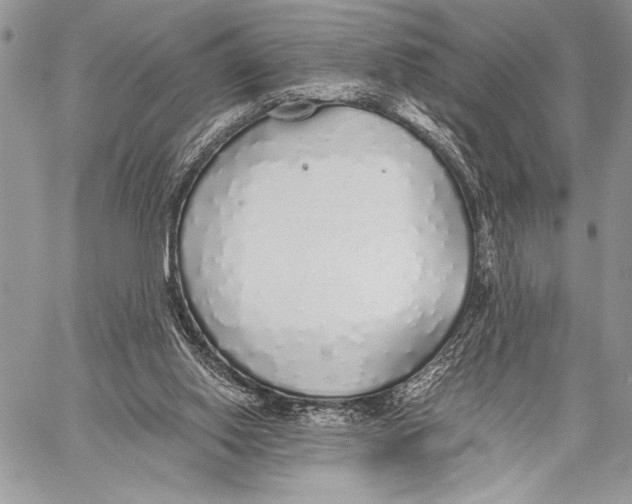 X0000058110062200510171255