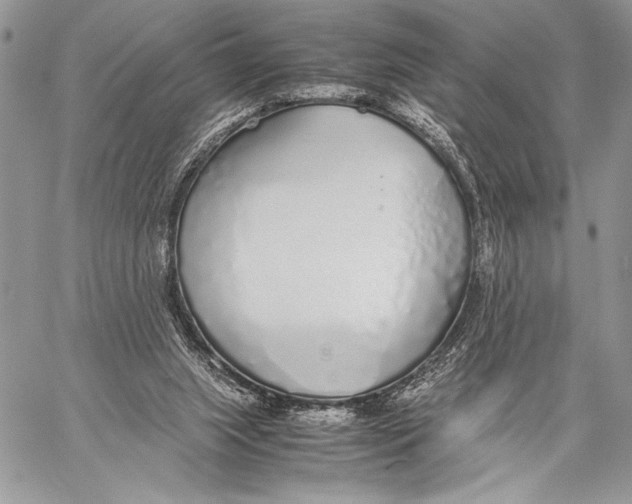 X0000058110063200510171255