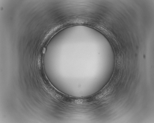 X0000058110064200510171255