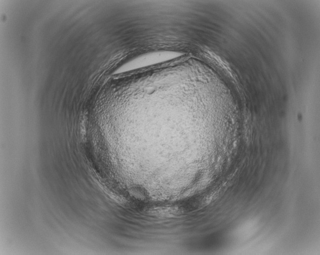 X0000058110065200510171255