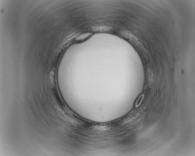 X0000058110071200510171255