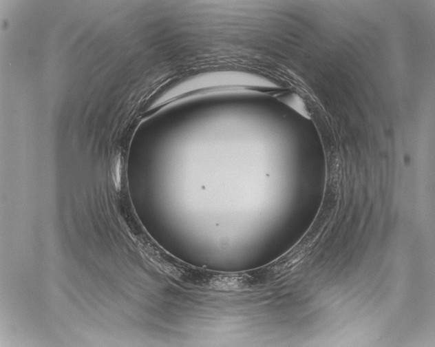 X0000058110076200510171255