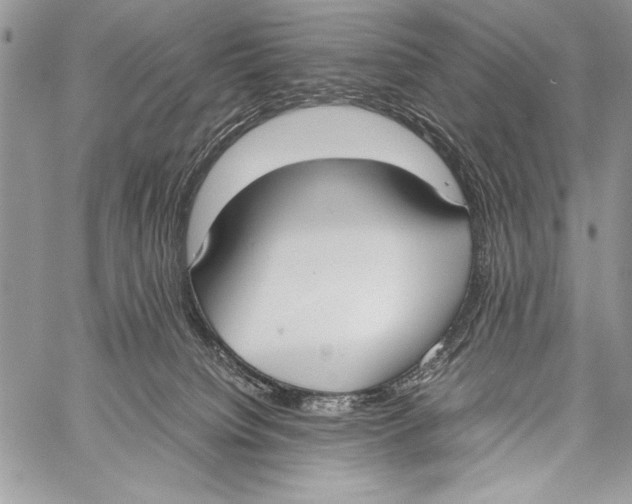 X0000058110084200510171255