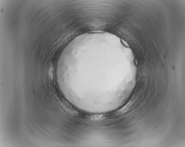 X0000058110090200510171255