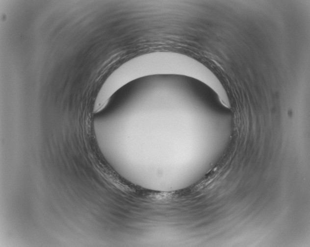 X0000058110092200510171255