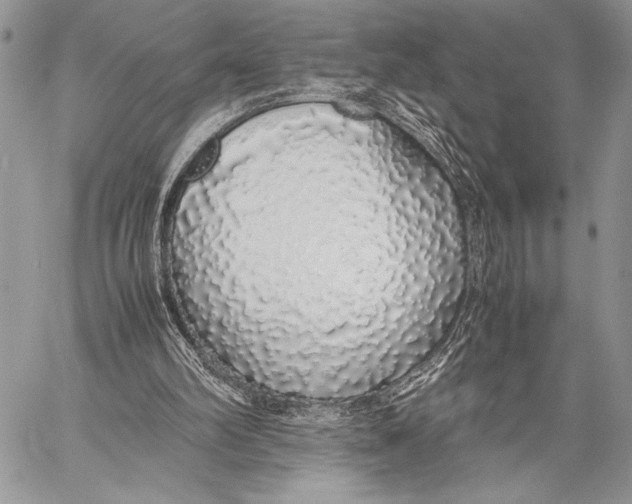 X0000058110102200510171255