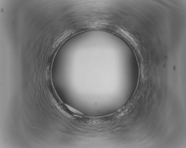 X0000058110105200510171255