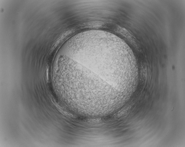 X0000058110110200510171254