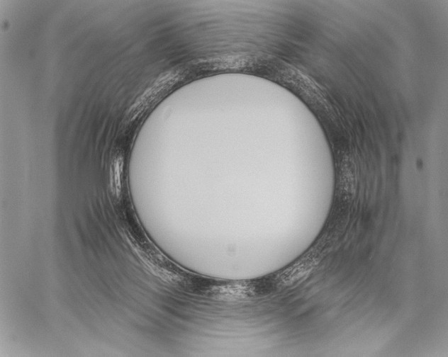 X0000058110118200510171254
