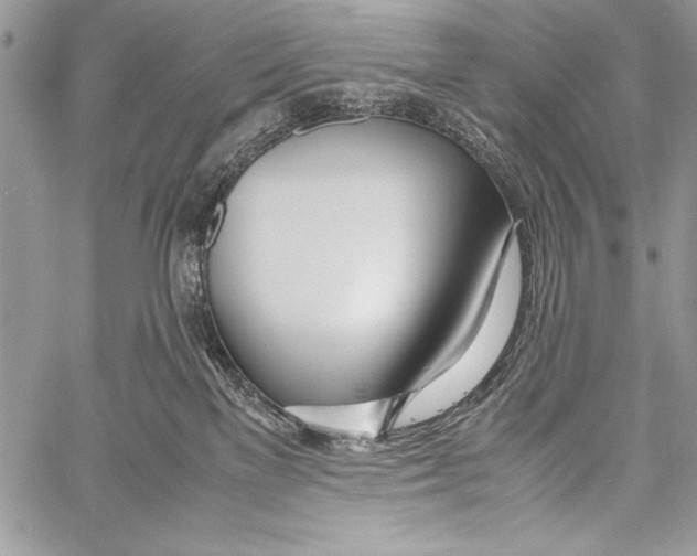 X0000058110137200510171254