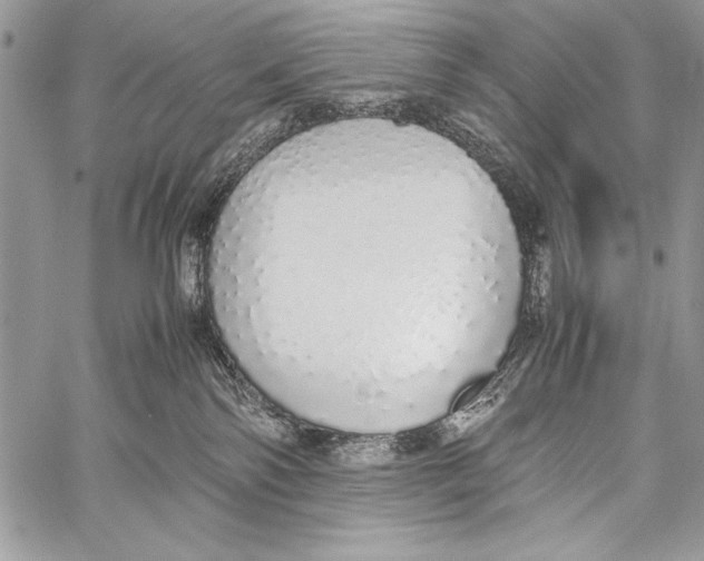 X0000058110138200510171254
