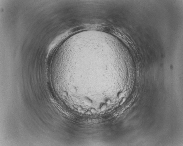 X0000058110149200510171253