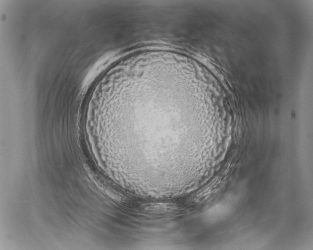X0000058110151200510171253