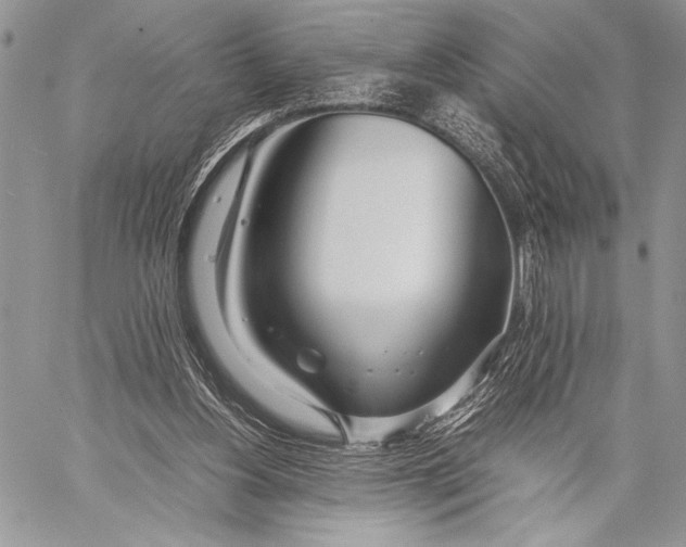 X0000058110156200510171253