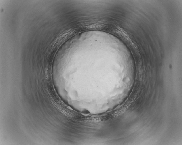 X0000058110161200510171253