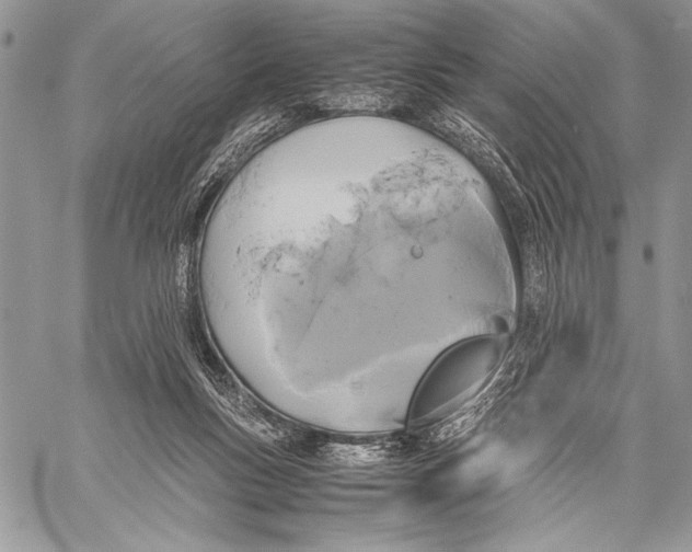 X0000058110167200510171253