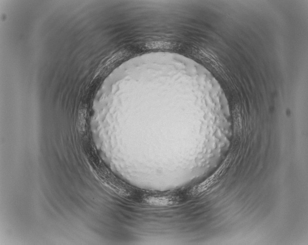 X0000058110171200510171254