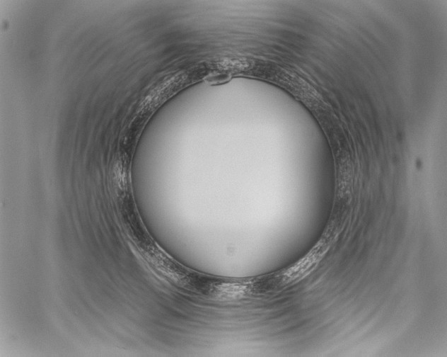 X0000058110176200510171254