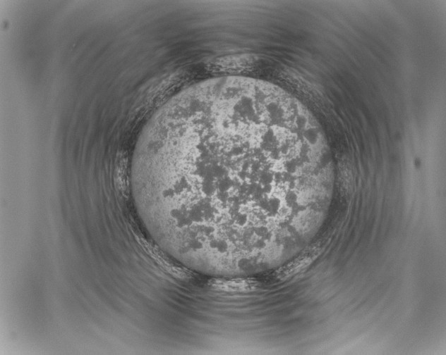 X0000058110181200510171254