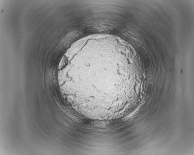 X0000058110182200510171254
