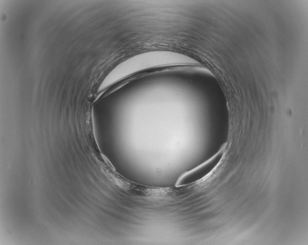 X0000058110192200510171254