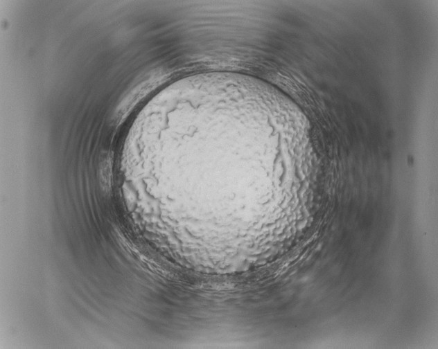 X0000058110194200510171253