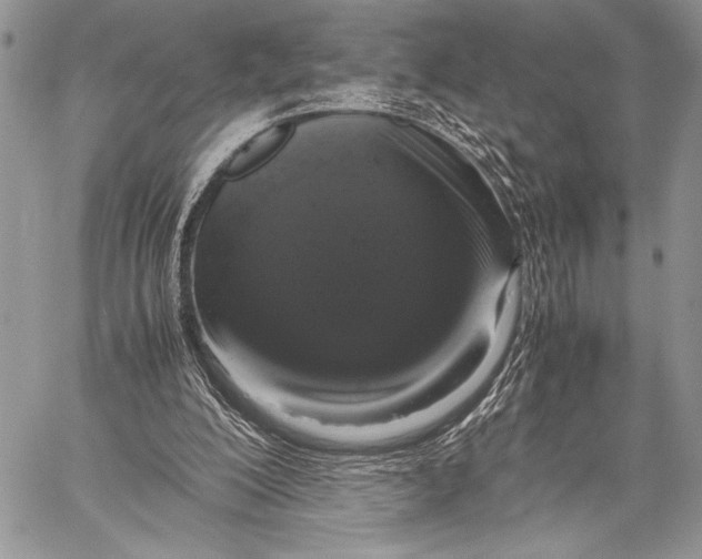 X0000058110200200510171253