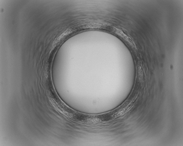 X0000058110203200510171253