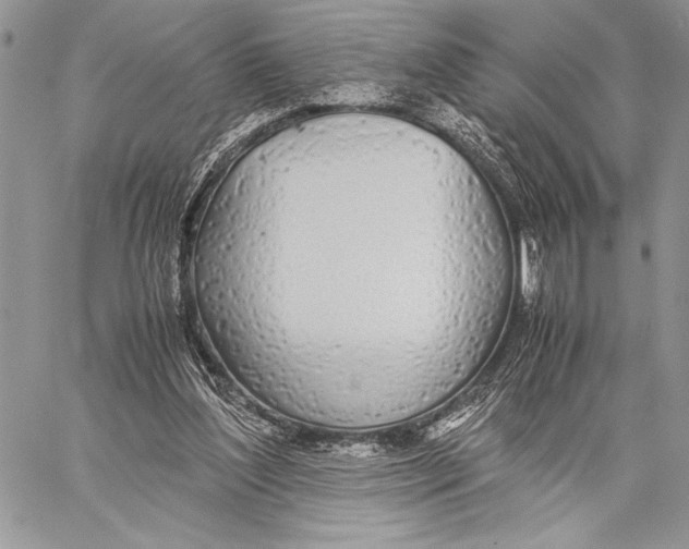 X0000058110204200510171253